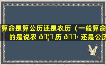 算命是算公历还是农历（一般算命的是说农 🦈 历 🕷 还是公历）